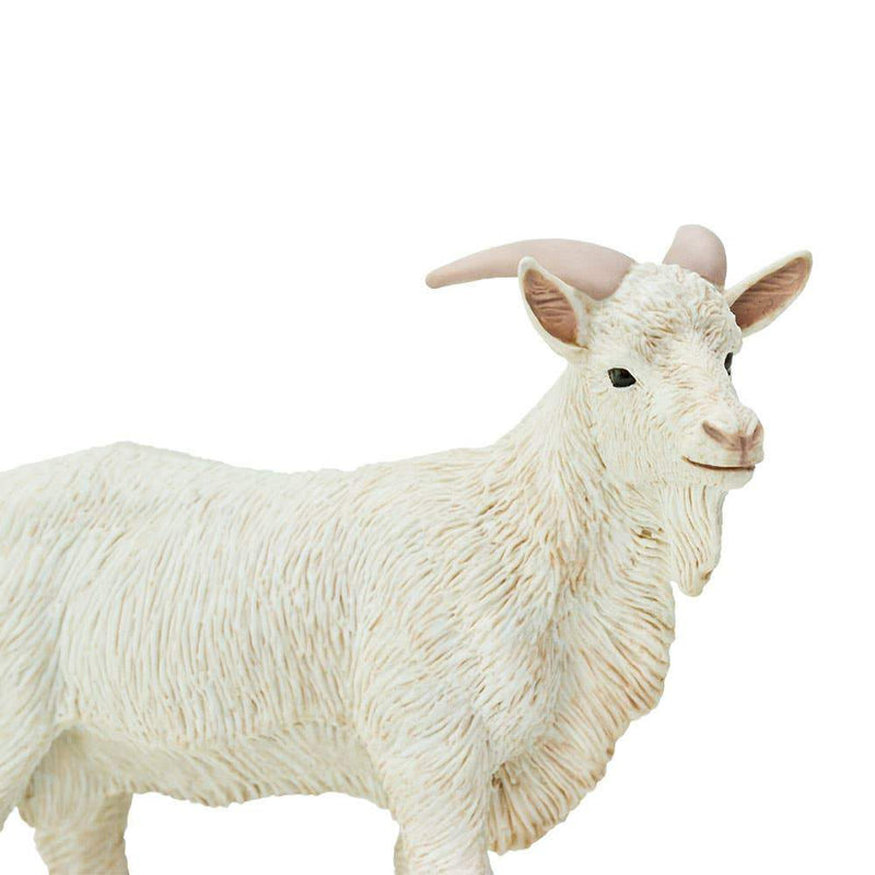 Billy Goat - Tadpole