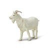 Billy Goat - Tadpole