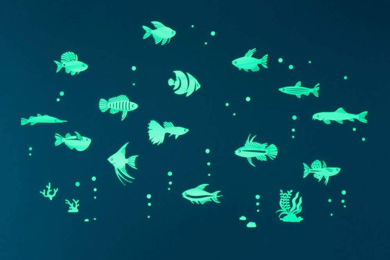 GloPlay Tropical Fish Stickers - Tadpole