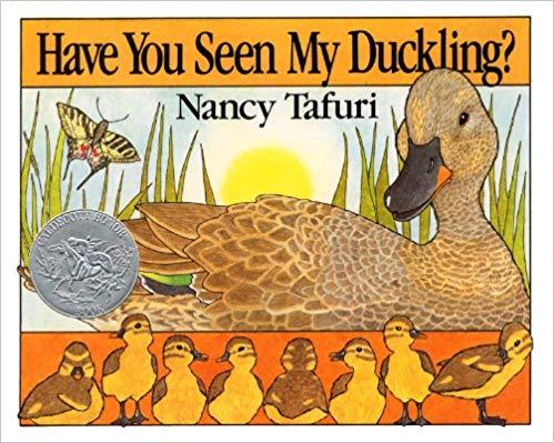 Have You Seen My Duckling? BB - Tadpole