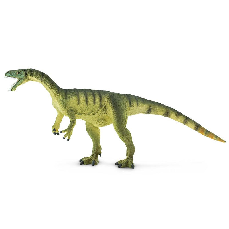 Masiakasaurus - Tadpole