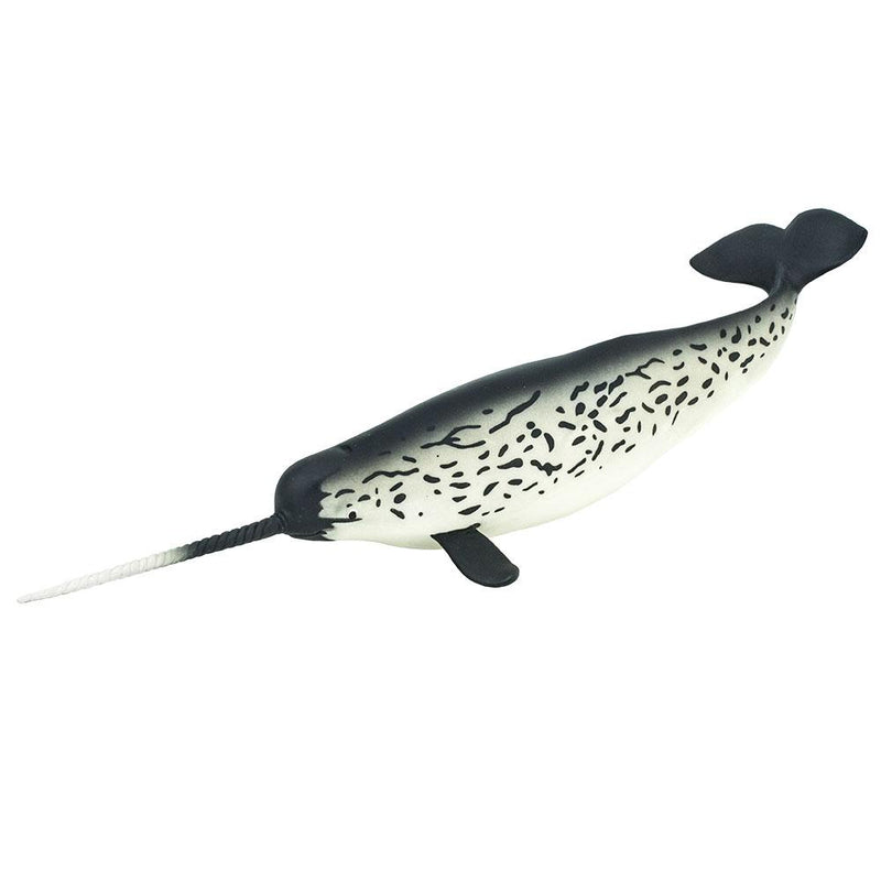 Narwhal - Tadpole