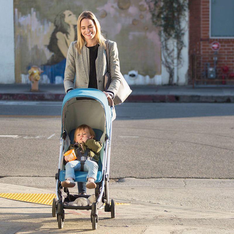 UPPAbaby Minu Stroller With Birth Kit | Ryan (Subscription)